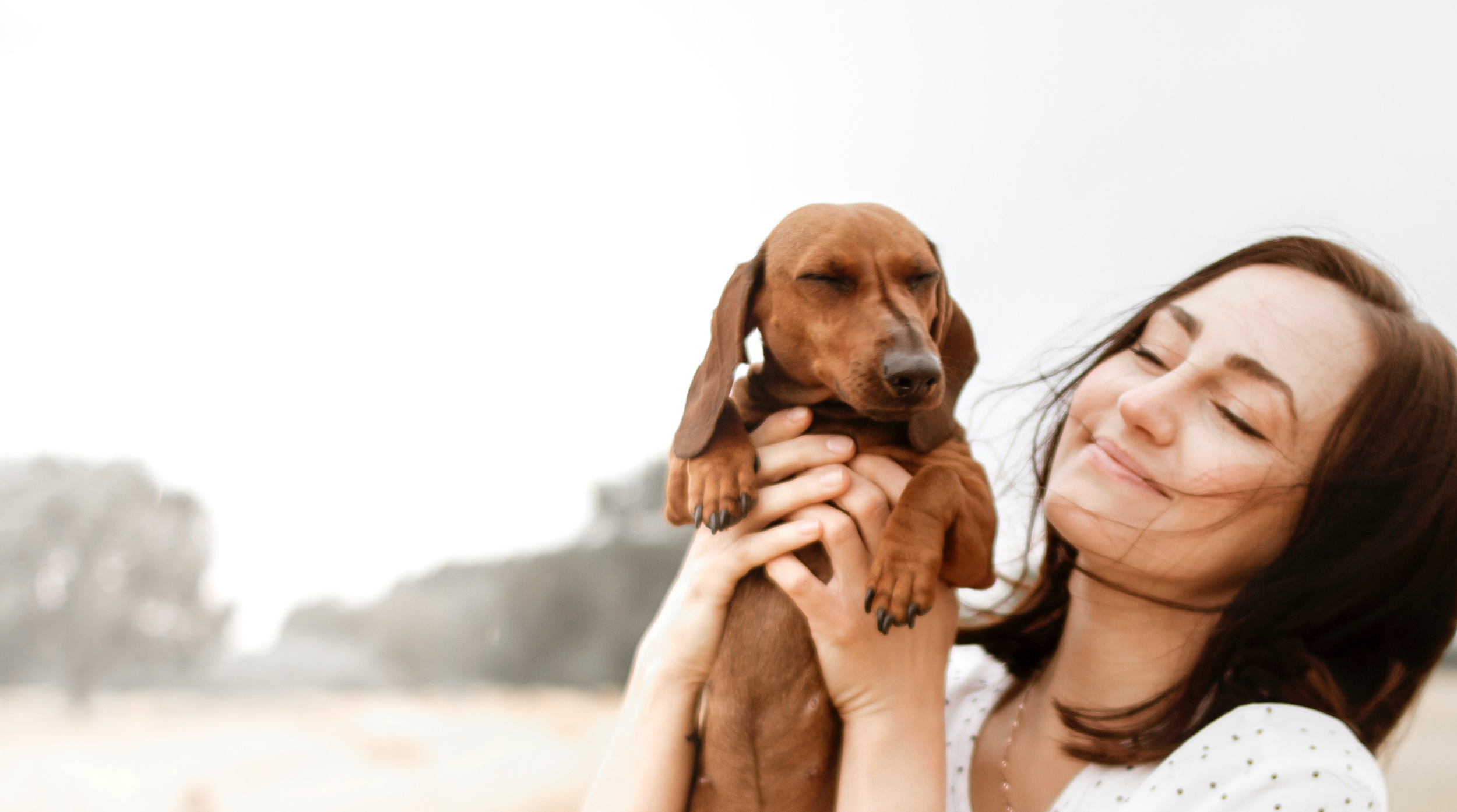 Open Door Veterinary Consultants