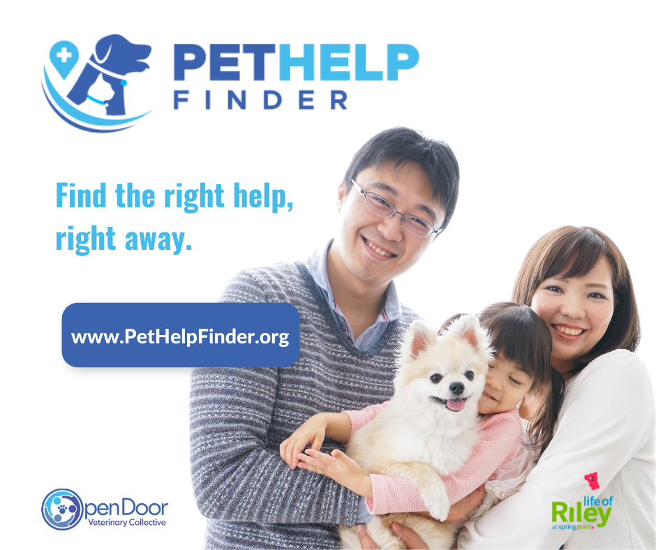 PHF FB pet owners find help