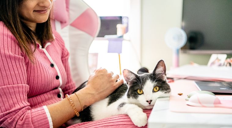 Emotional Support Animals: A Disability Rights Lens