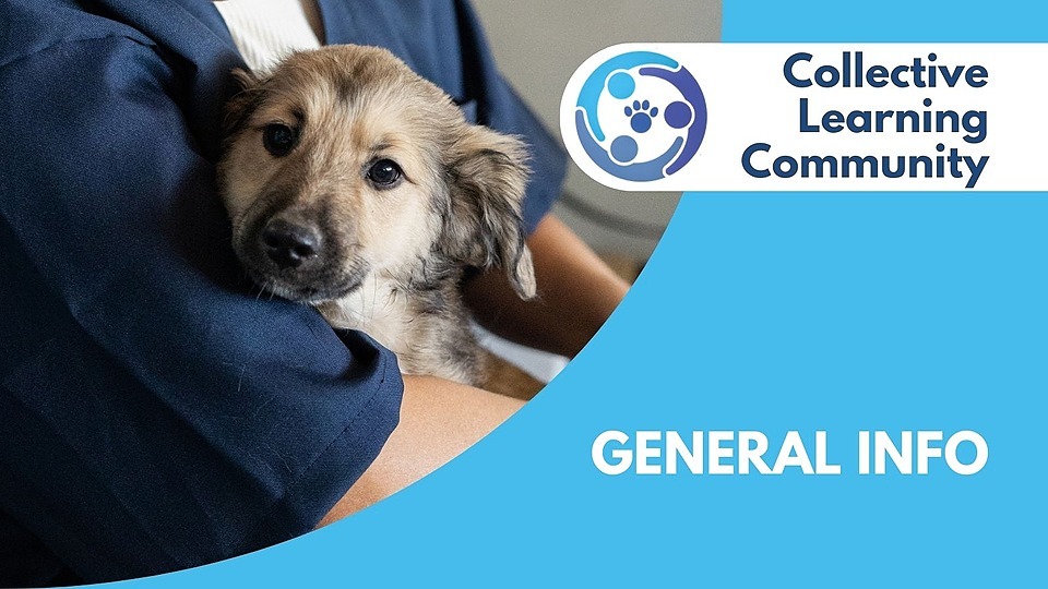 Collective Learning community