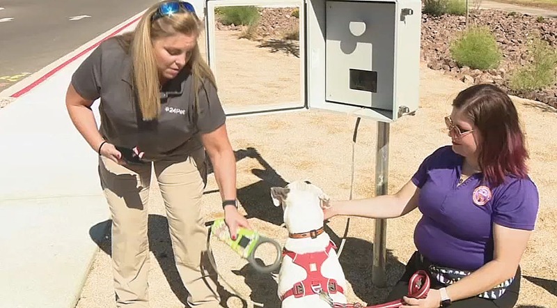 Microchip Scanning Station Guide- Free