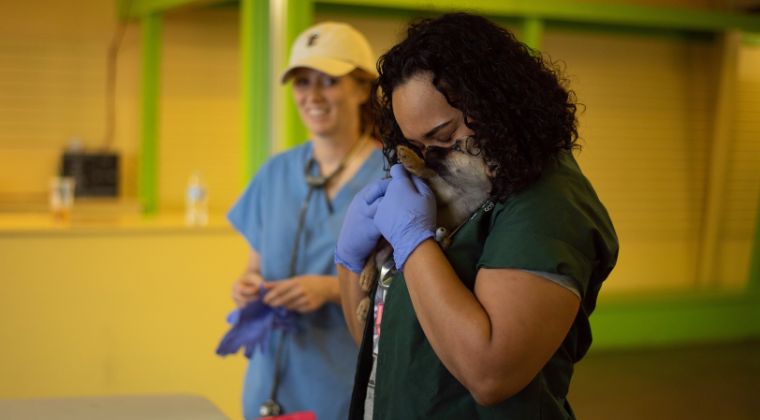 SOAP Workflow for Patient-Specific Care