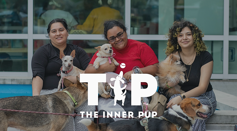 Spotlight on The Inner Pup (TIP): A Champion of Increased Access to Veterinary Care